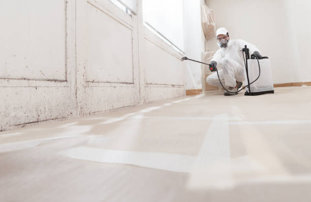 24/7 Emergency Black Mold Remediation experts in Clearfield, PA