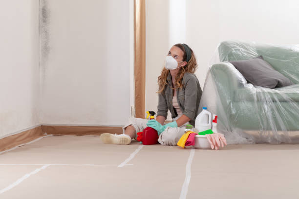 Reliable Black Mold Remediation contractor in Clearfield, PA by Car Mold Remediation